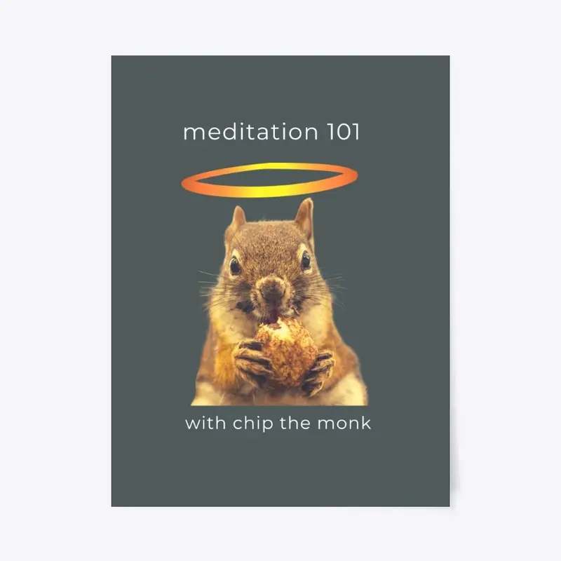 Meditation 101 with Chip the Monk