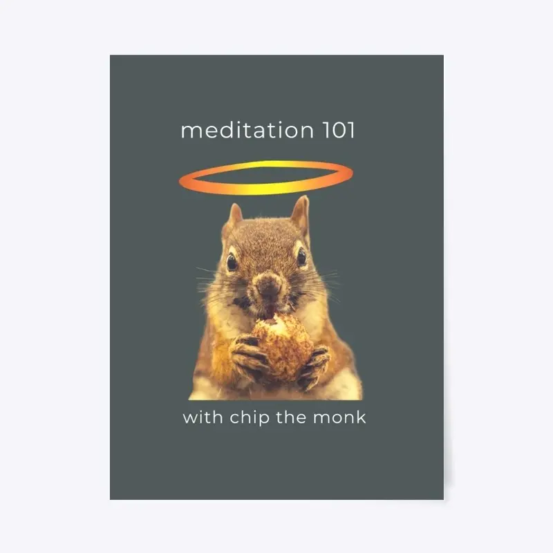 Meditation 101 with Chip the Monk